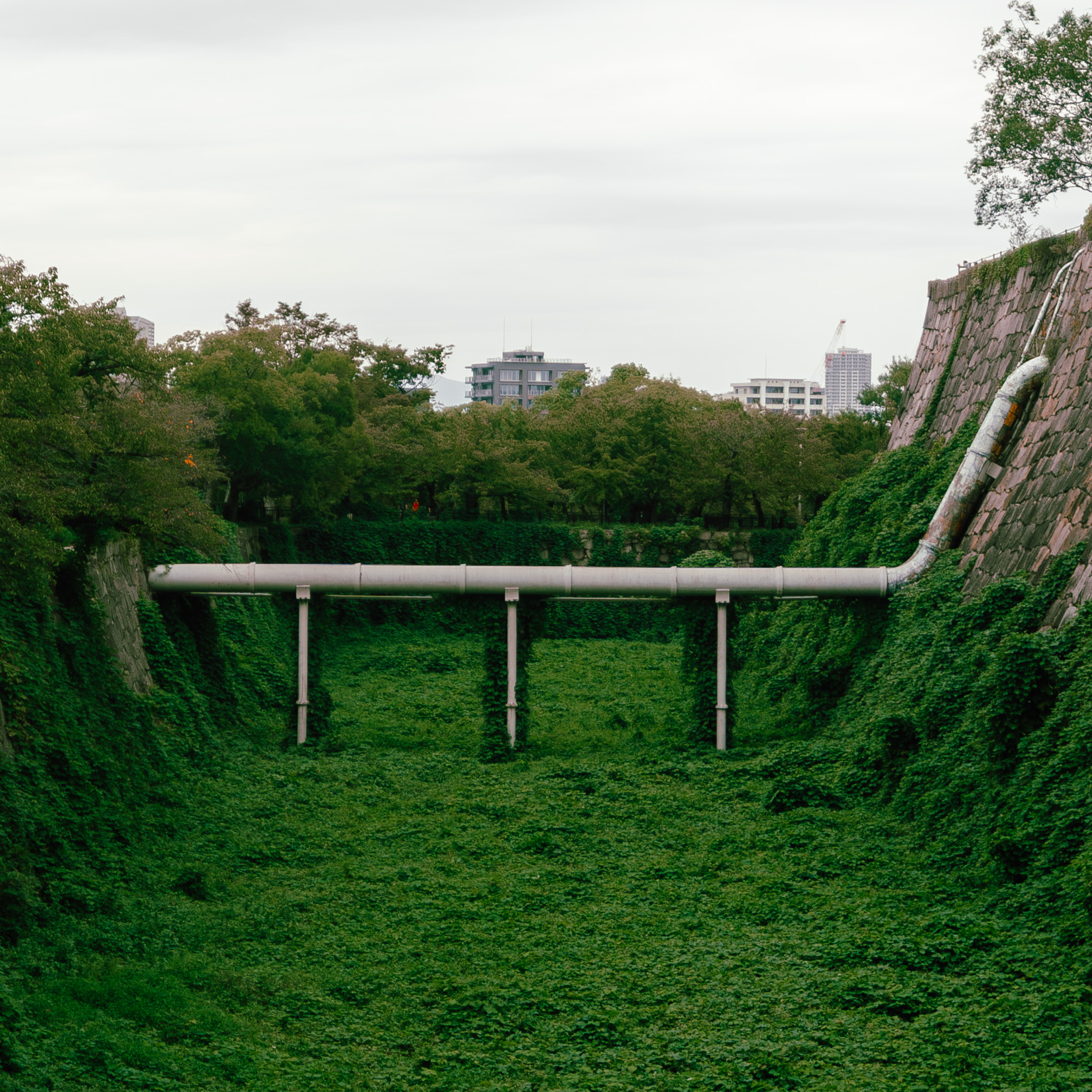 Green moat and stone wall in Japan